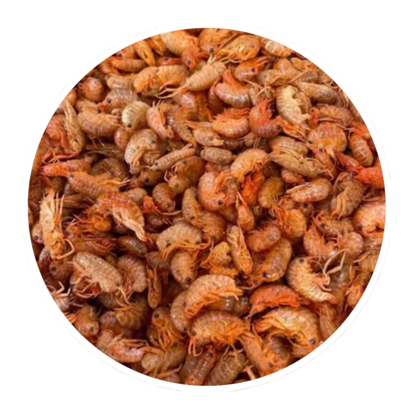 Comida Tortuga Pulgas De Mar 20 gr