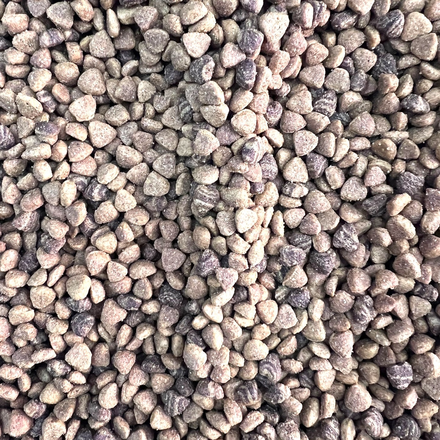 1 kg Master Dog Cachorro Carne