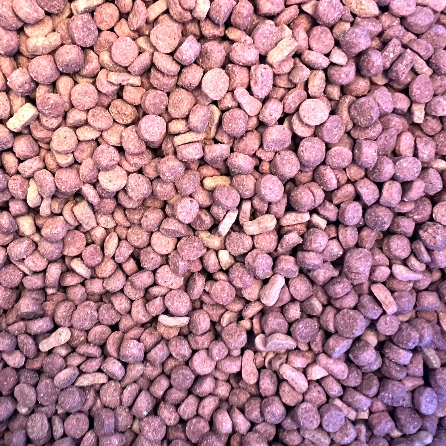 1 kg Champion Dog Cachorro Carne y Pollo