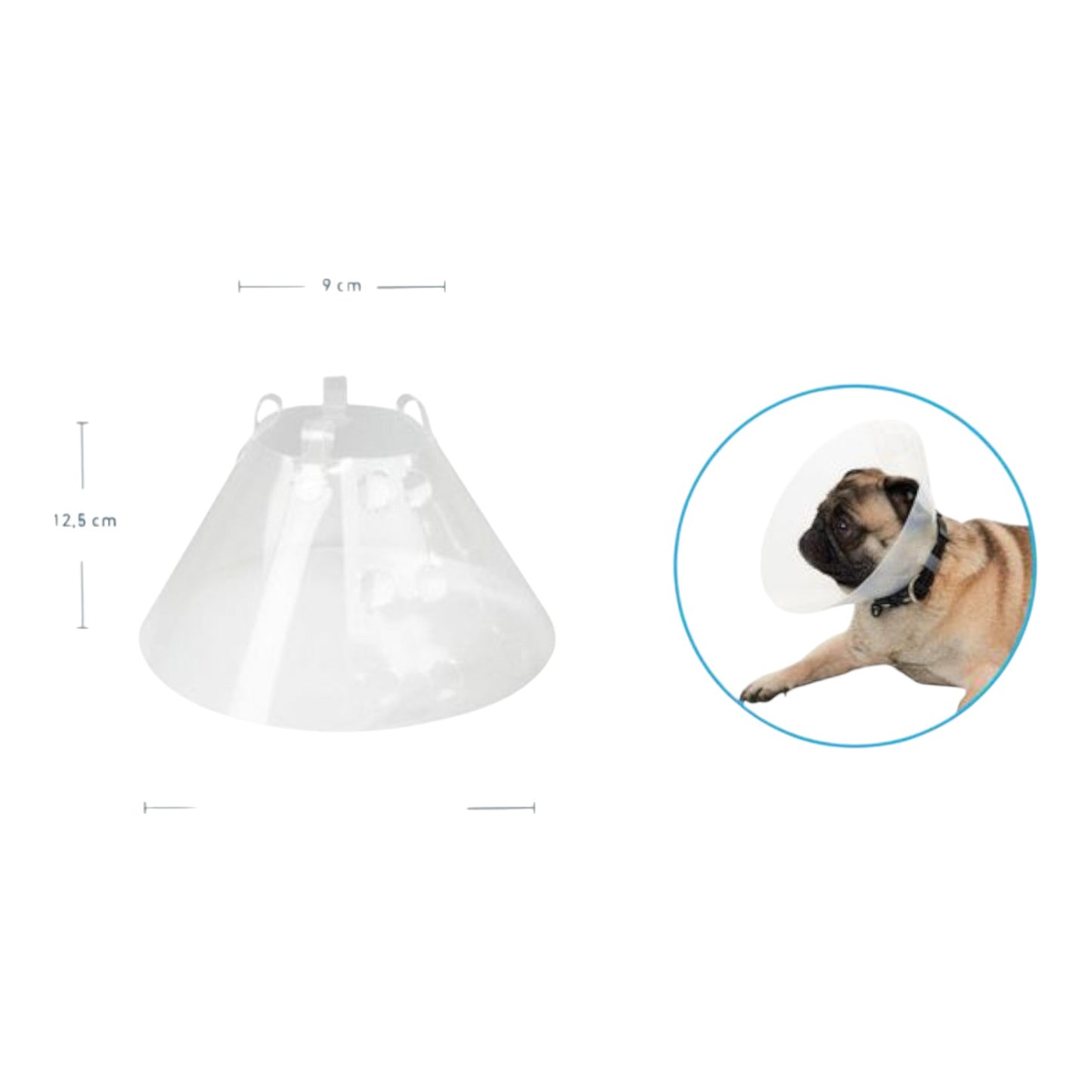 Collar Isabelino 12.5