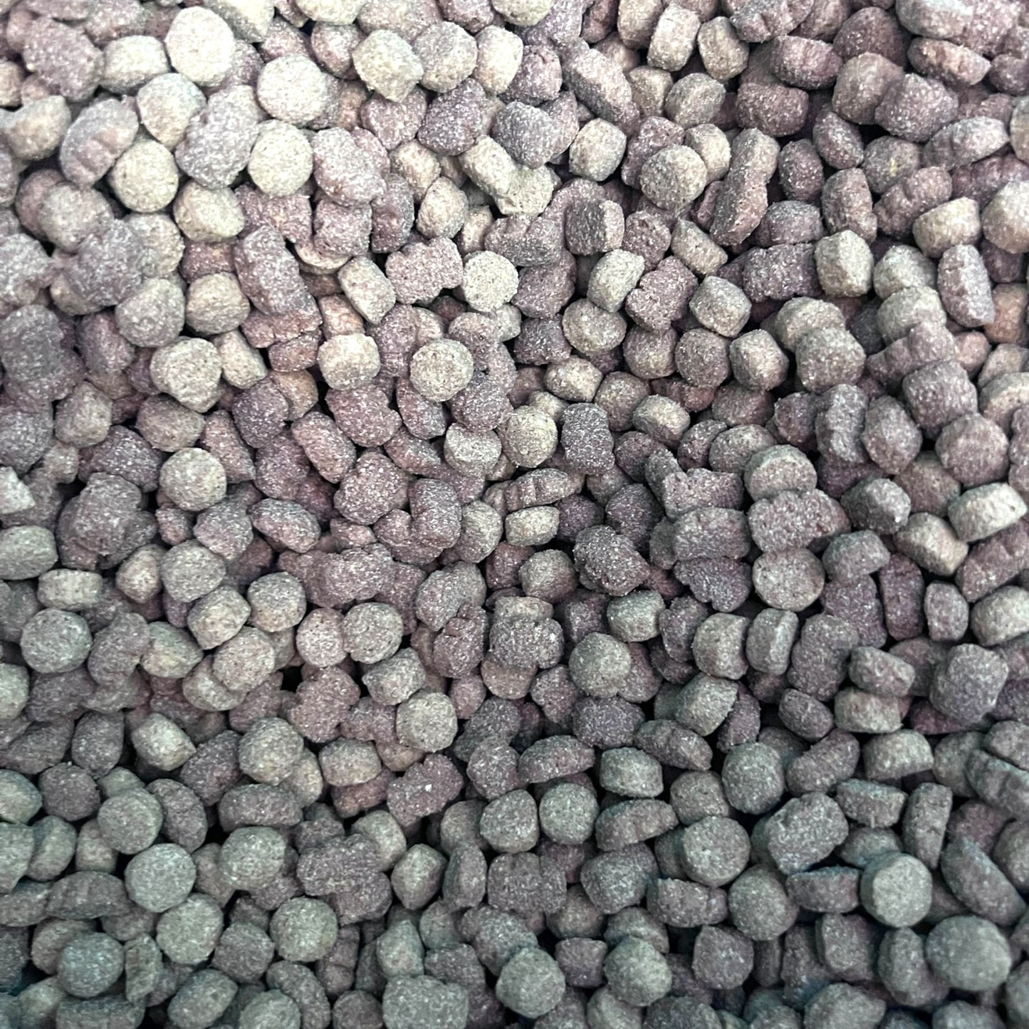 1 kg Champion dog Senior Carne y Pollo