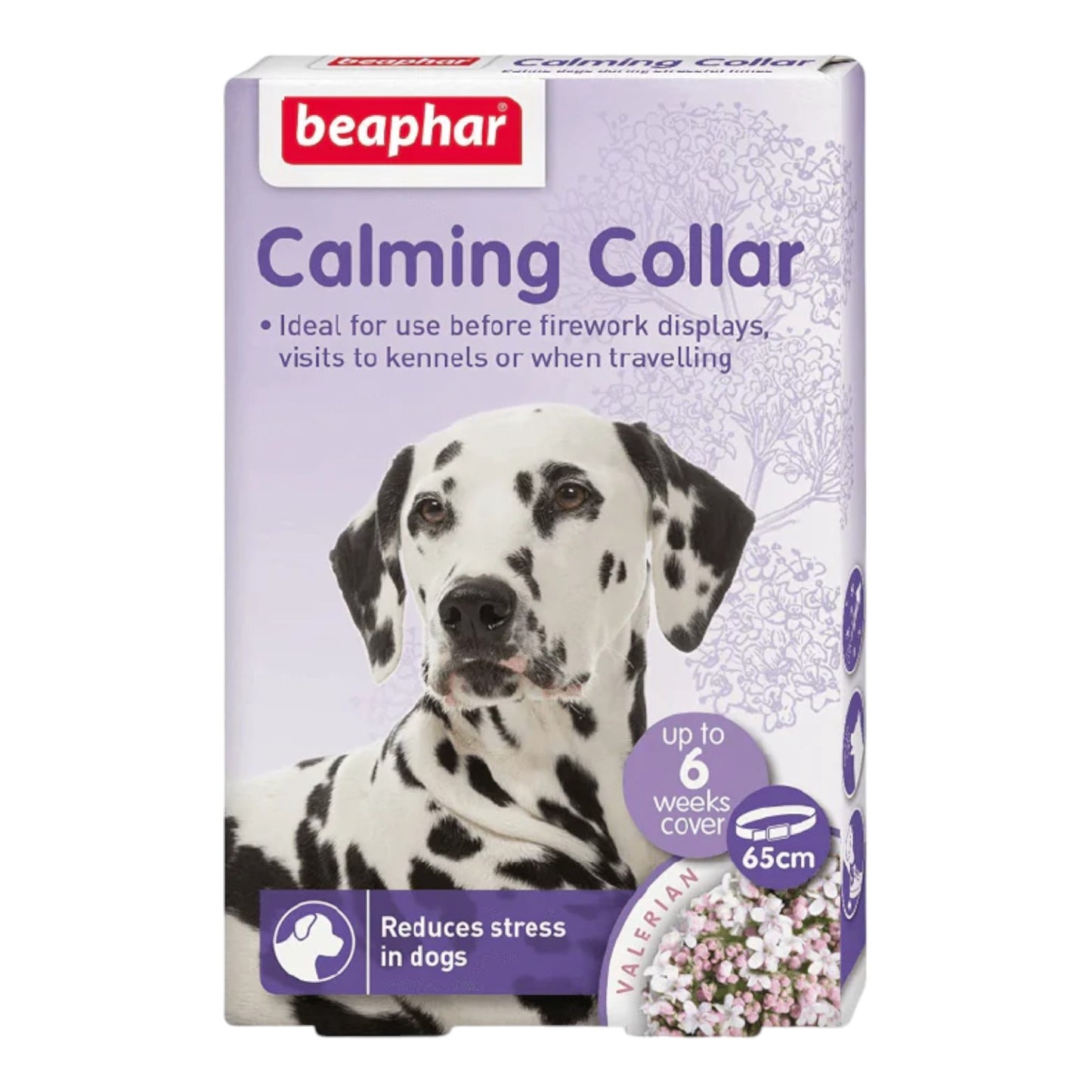 Collar calming perro