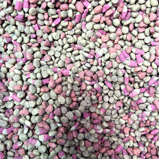 1 kg Master Cat Gato Adulto Salmon