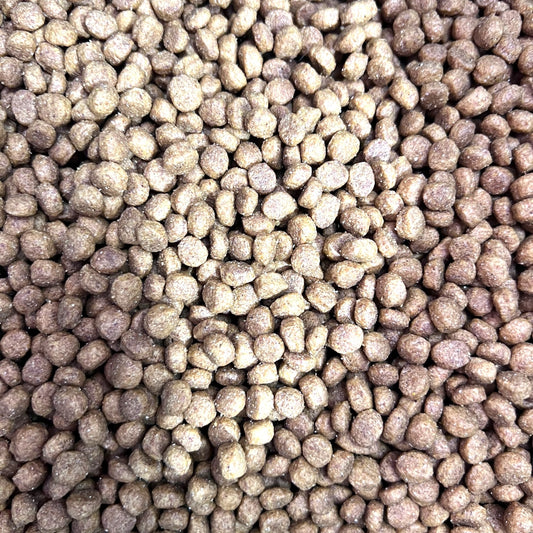 1 kg Fit Formula Cachorro Carne y Ave