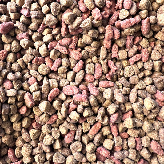 1 kg Champion Cat Gato Adulto Pescado