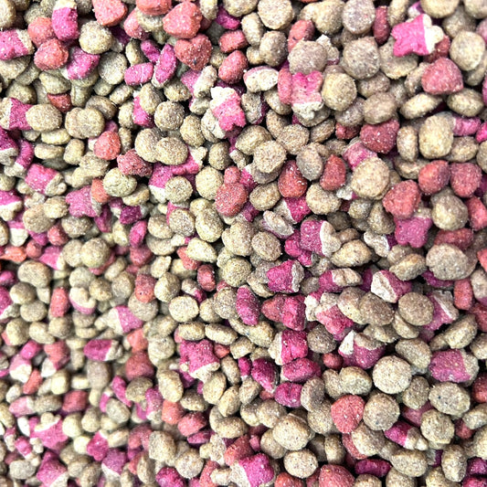 1 kg Master Cat Gato Adulto Carne