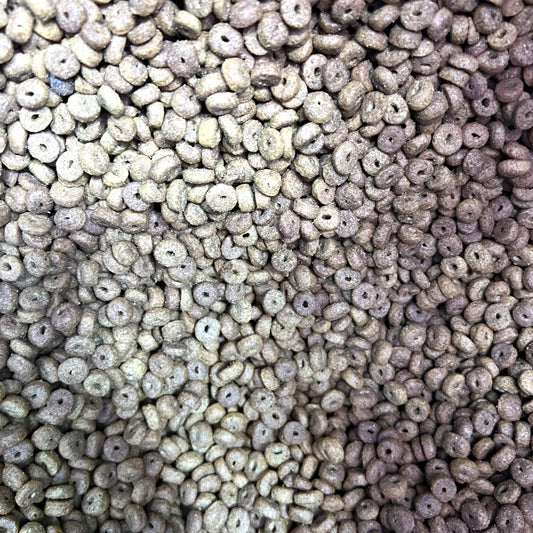 1 kg Nomade Gato Adulto Ave,Cerdo y Pescado