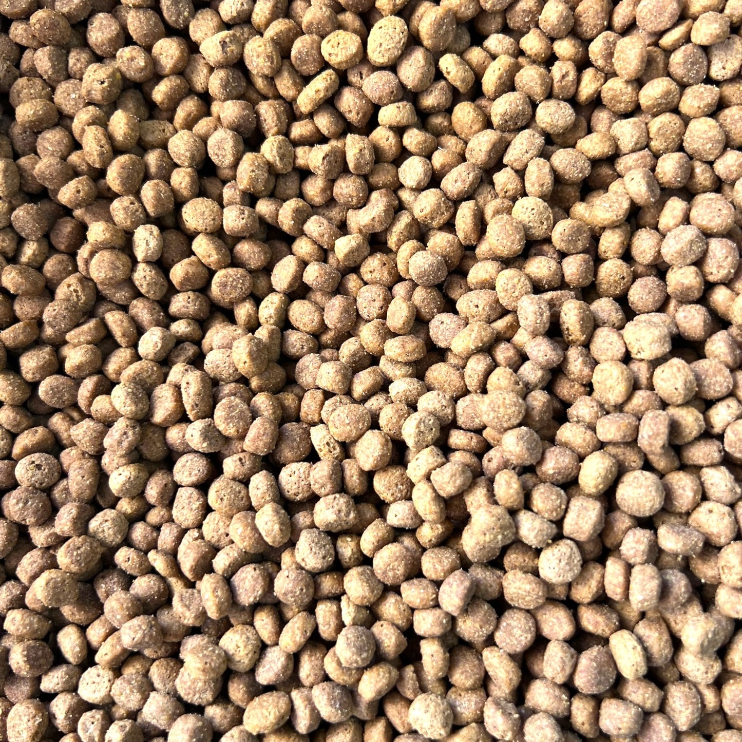 1 kg Champion Cat Gatito Pollo