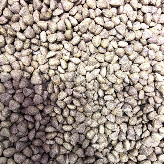 1 kg Fit Formula Adulto Senior Carne y Ave