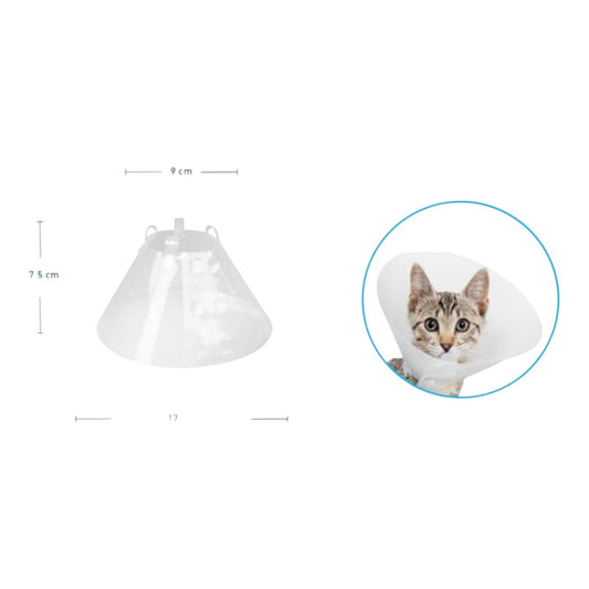 Collar Isabelino 7.5