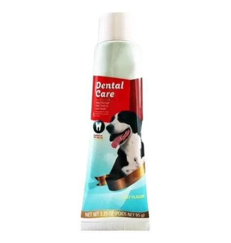 Pasta Dental 95 gr
