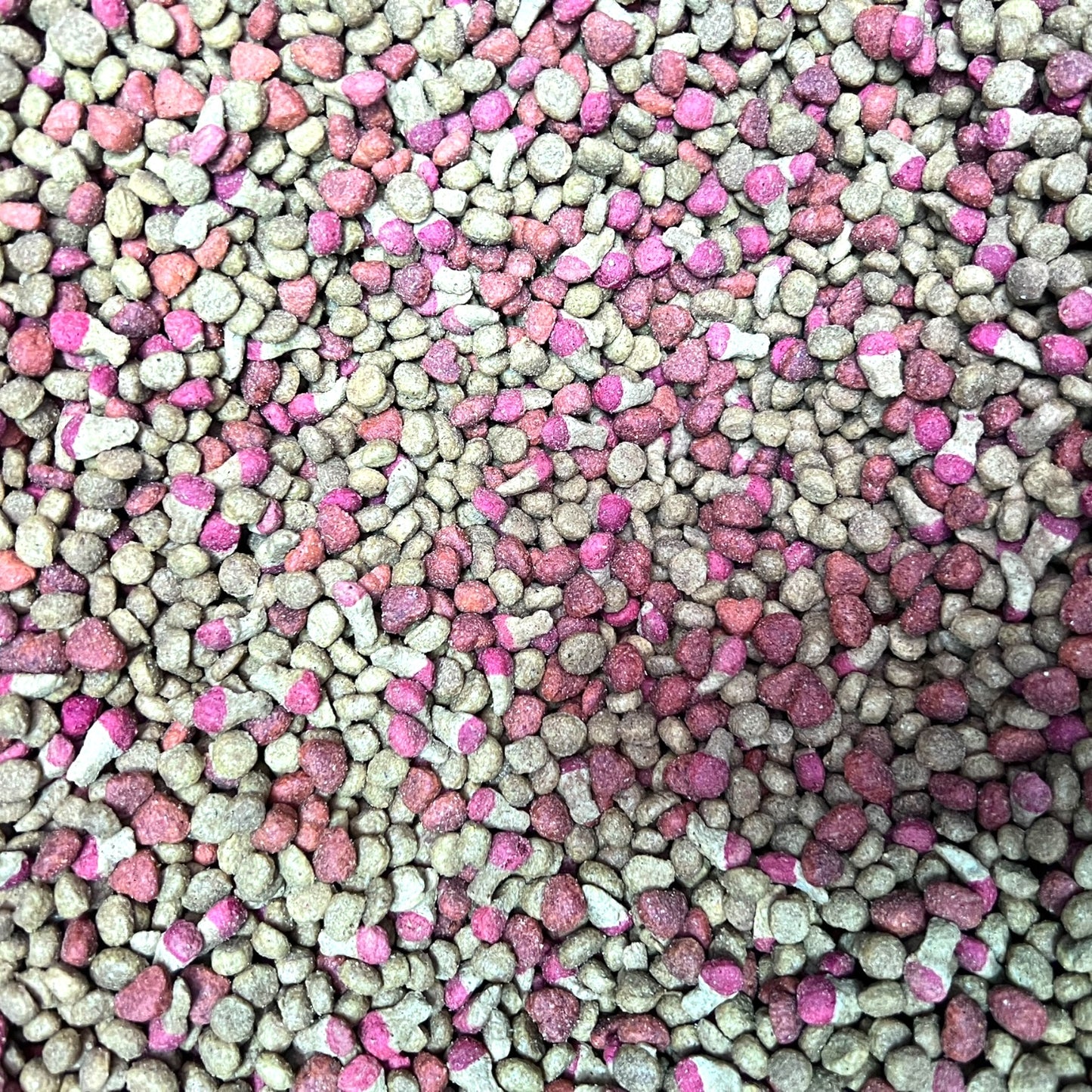 1 kg Master Cat Gato Adulto Pollo