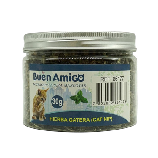 Hierba Gatera Pote