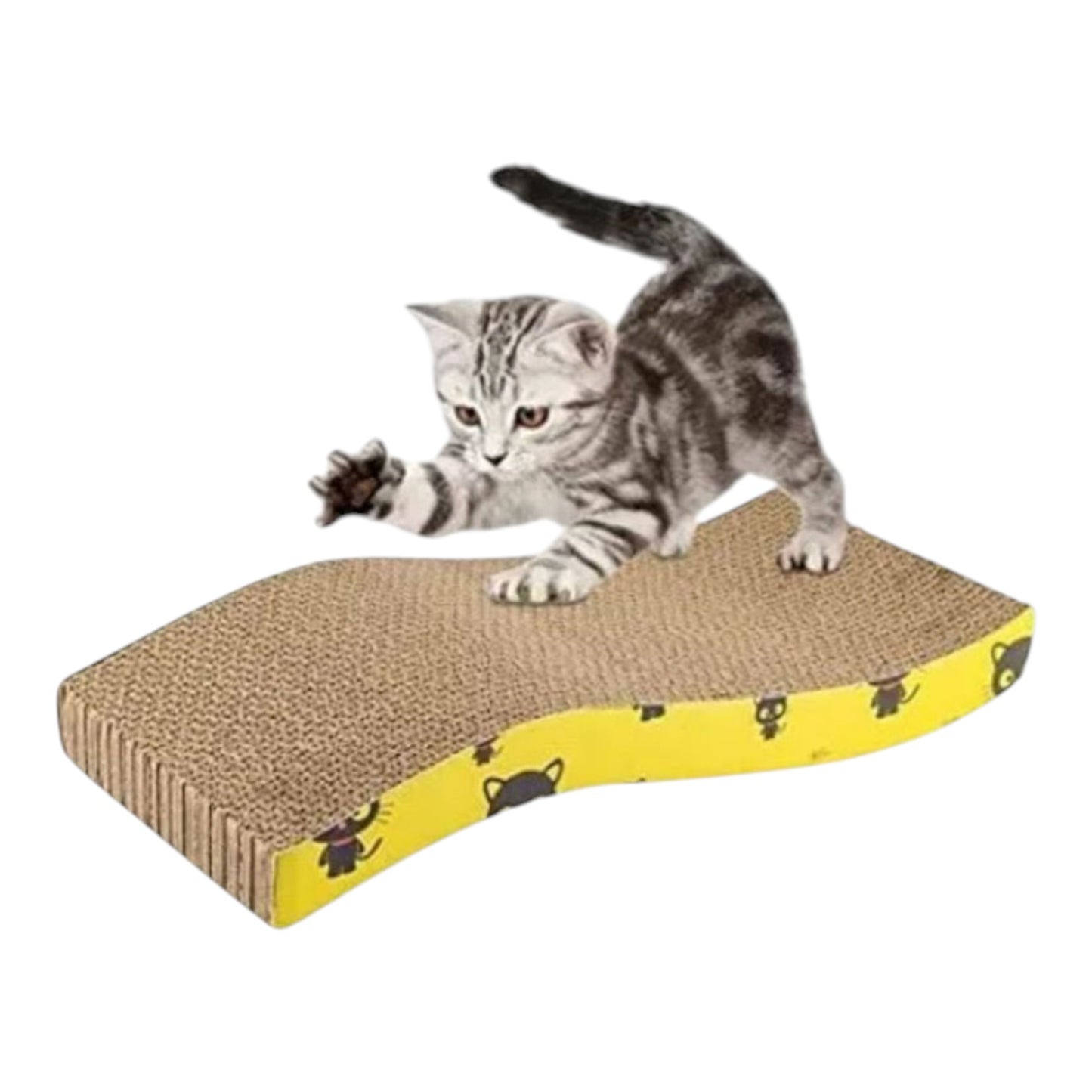 Rascador Mediano Carton Gato
