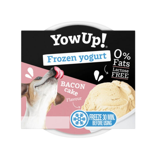 Helado Yow Up Sabor Bacon 110 Gr